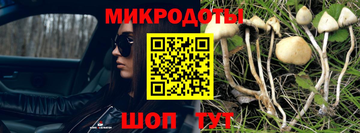 Псилоцибиновые грибы Magic Shrooms Тула